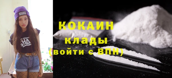 индика Алексеевка