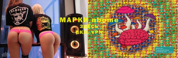 индика Алексеевка