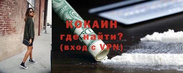 индика Алексеевка