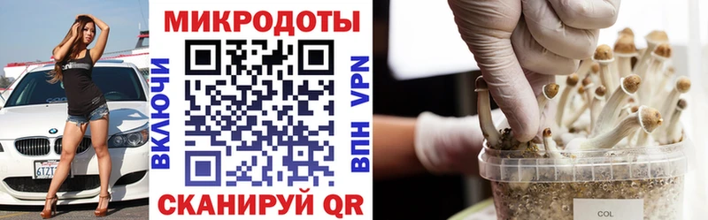 ссылка на мегу ССЫЛКА  Чебоксары  Псилоцибиновые грибы прущие грибы 